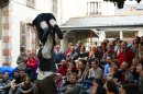 cirque des curiosites 040 * 3872 x 2592 * (3.26MB)
